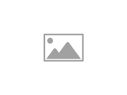 External links placeholder